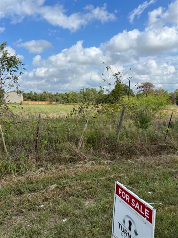 Lot 1 21st Street , Hempstead, Texas image 6