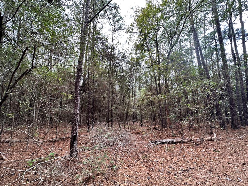 Looking for a the perfect tract of land to build a home? Look no further! This place has great FM road frontage and wonderful hardwoods. 4.3+/-Acres of untouched, and unrestricted land in the Corrigan school district ready for the taking! Call today to make your offer!
