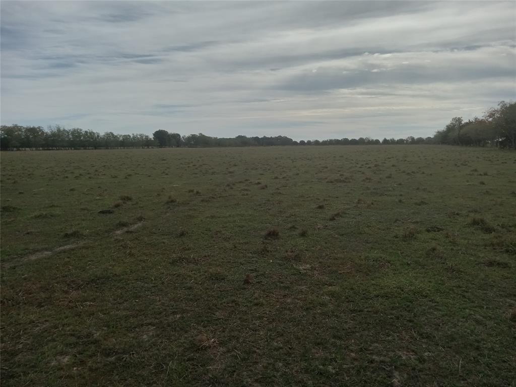 ~18.77 ac of true Texas pasture and 245 ft of county road frontage as per current survey with a creek at the rear of the property. Part of the Original Land Grant and Beard Estate Heirs are owners of the subject land and adjacent parcels. Enjoy the Field Larks, fire flies, prairie breeze, and the Bright TEXAS stars.