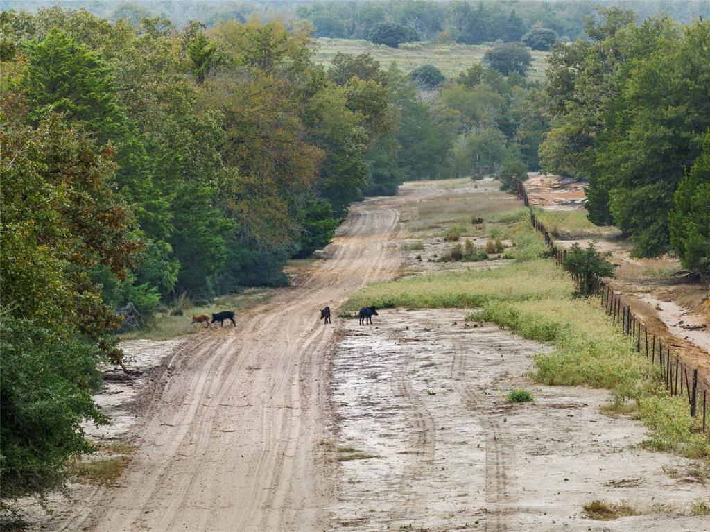 511 Lcr 793  , Groesbeck, Texas image 4