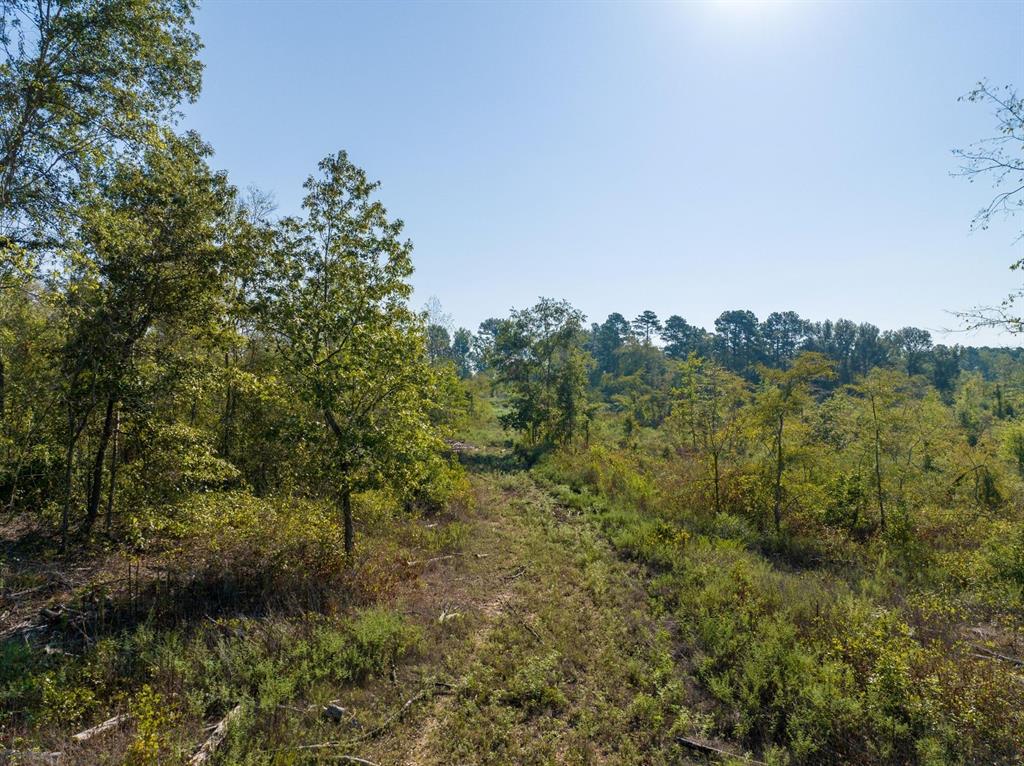 TBD Fm 3055  , Mount Enterprise, Texas image 19