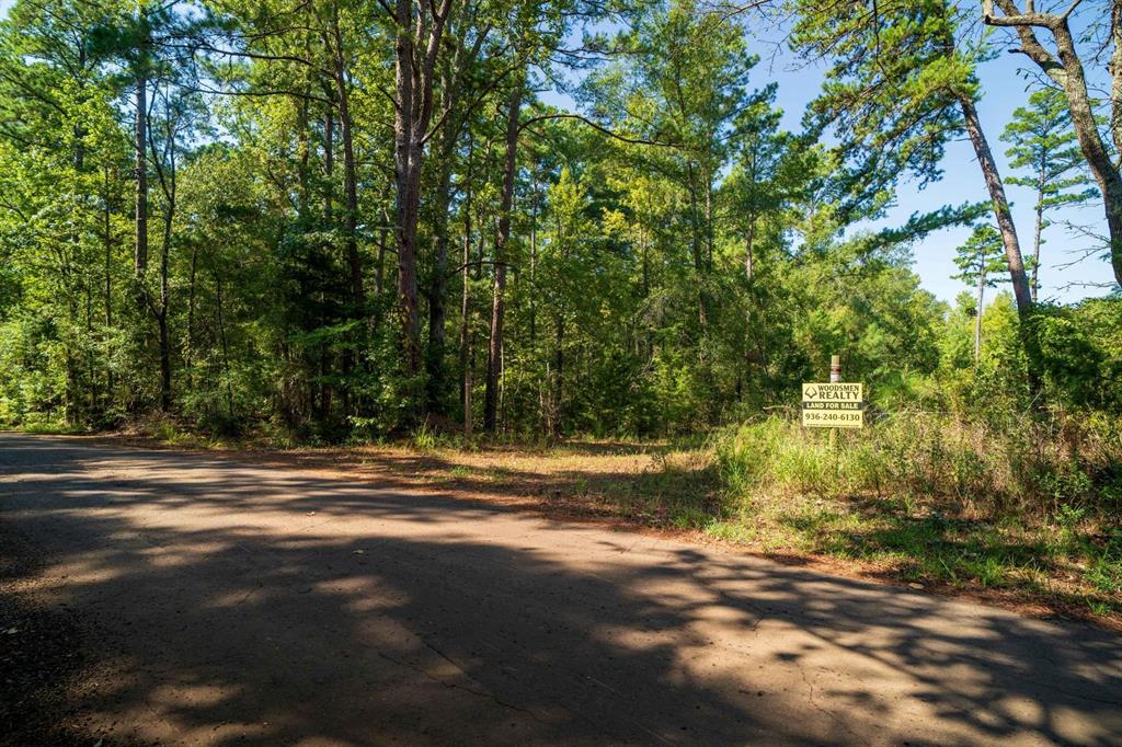 TBD County Rd 3163  , Laneville, Texas image 12