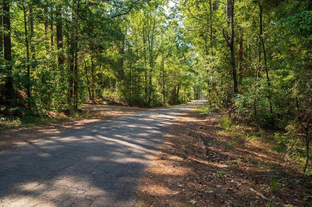 TBD County Rd 3163  , Laneville, Texas image 13