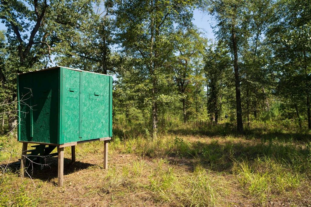 TBD County Rd 3163  , Laneville, Texas image 14