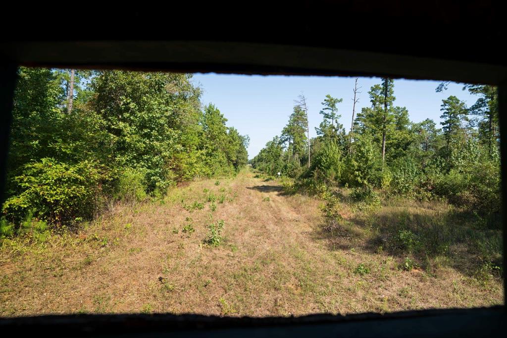 TBD County Rd 3163  , Laneville, Texas image 16