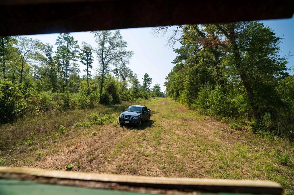 TBD County Rd 3163  , Laneville, Texas image 17