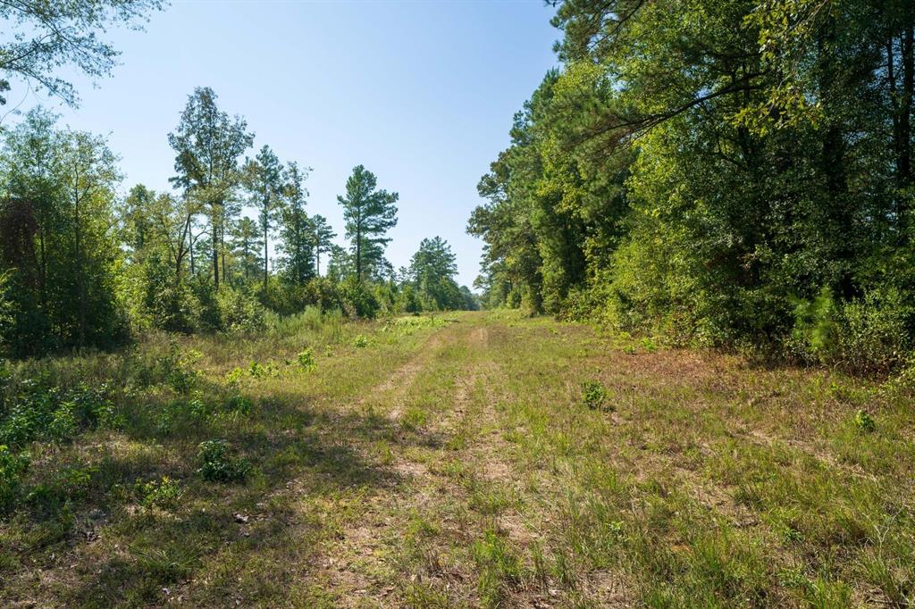 TBD County Rd 3163  , Laneville, Texas image 22