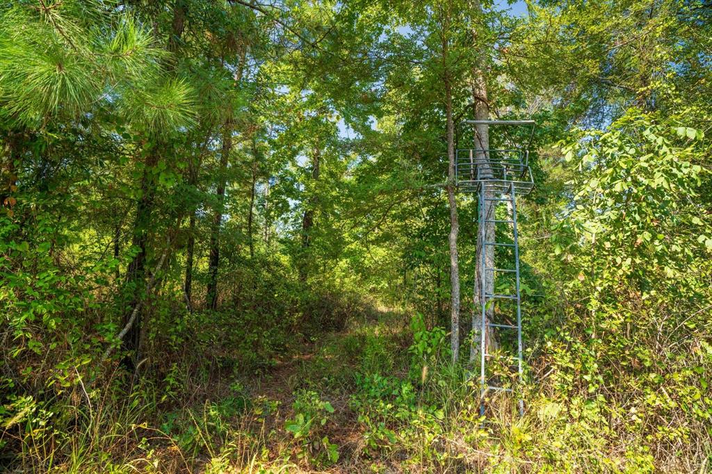 TBD County Rd 3163  , Laneville, Texas image 28