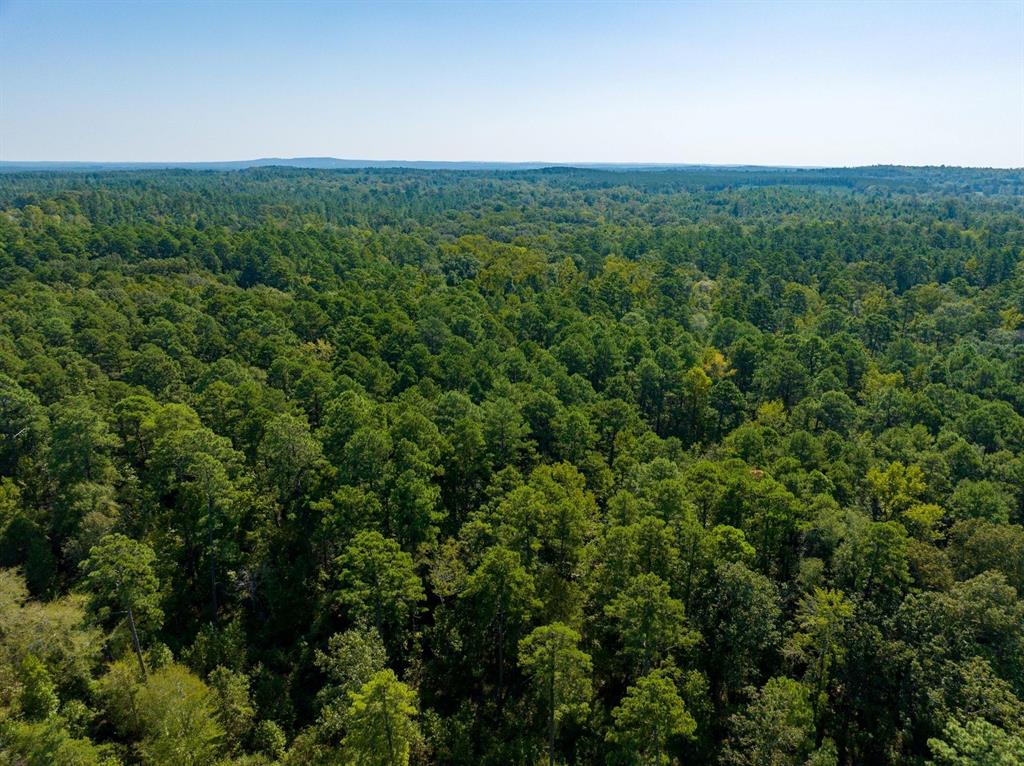 TBD County Rd 3163  , Laneville, Texas image 6