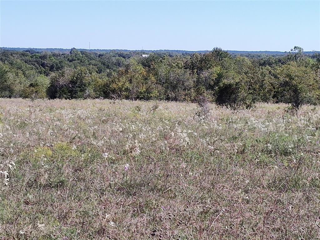 TBD County Road 321  , Navasota, Texas image 7