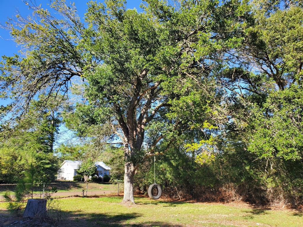 909 W Elder Street , Colmesneil, Texas image 4