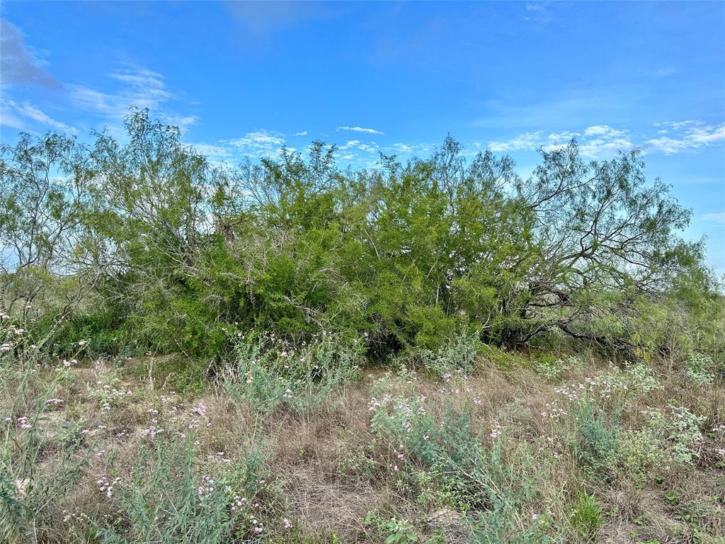 00 FM 3249, Realitos, TX 78376