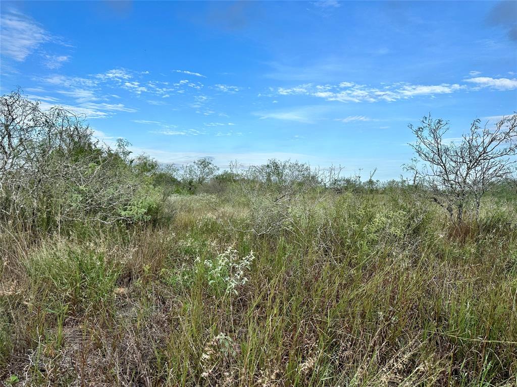 00 FM 3249, Realitos, TX 78376