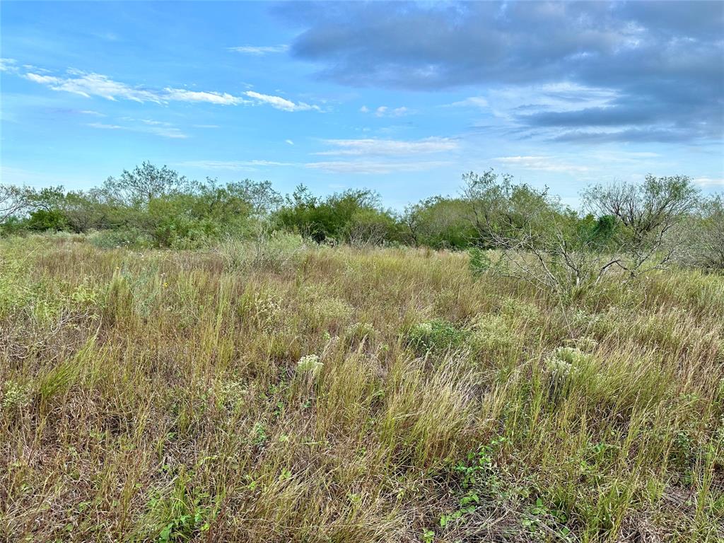 00 FM 3249, Realitos, TX 78376