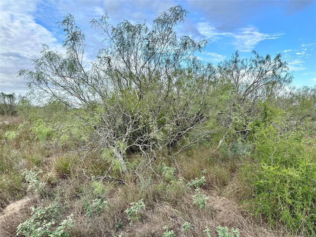 00 FM 3249, Realitos, TX 78376