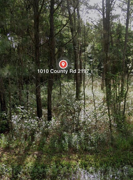 Looking for acreage in Tarkington ISD, look no further this tract will make the perfect place for home, warehouse site. Independently verify lot dimension, deed restrictions, utilities, feasibility or other restrictions. Seller has not verified any of the information. Track has endless opportunities.