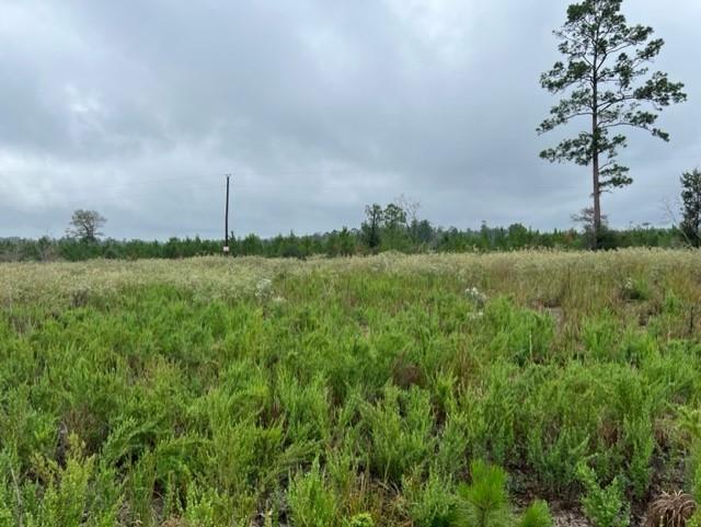 Come enjoy this 12.558-acre tract in the much sought after Big Sandy School District.  This tract has power and water already installed.  This tract is only a few miles from the Naskila Casino which is growing and tons of opportunities. The land is lightly restricted, and you can build your new home or move in a manufactured home.  Don’t miss out on owning your own piece of land in the country.  This land is very affordable and will make a great investment!  Make your choice of only 8 tracts left that are available.