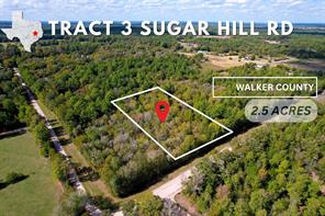 Tract 3 Sugar Hill, Huntsville, TX, 77320