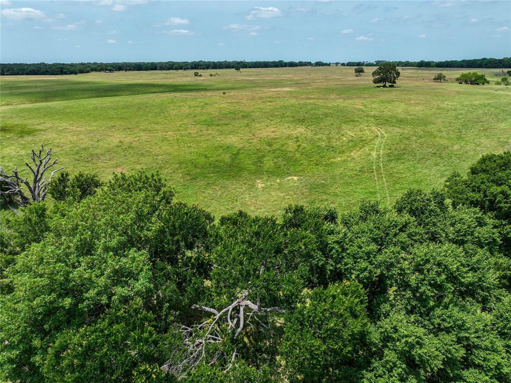 Tract 8 County Rd 254  , Reagan, Texas image 5