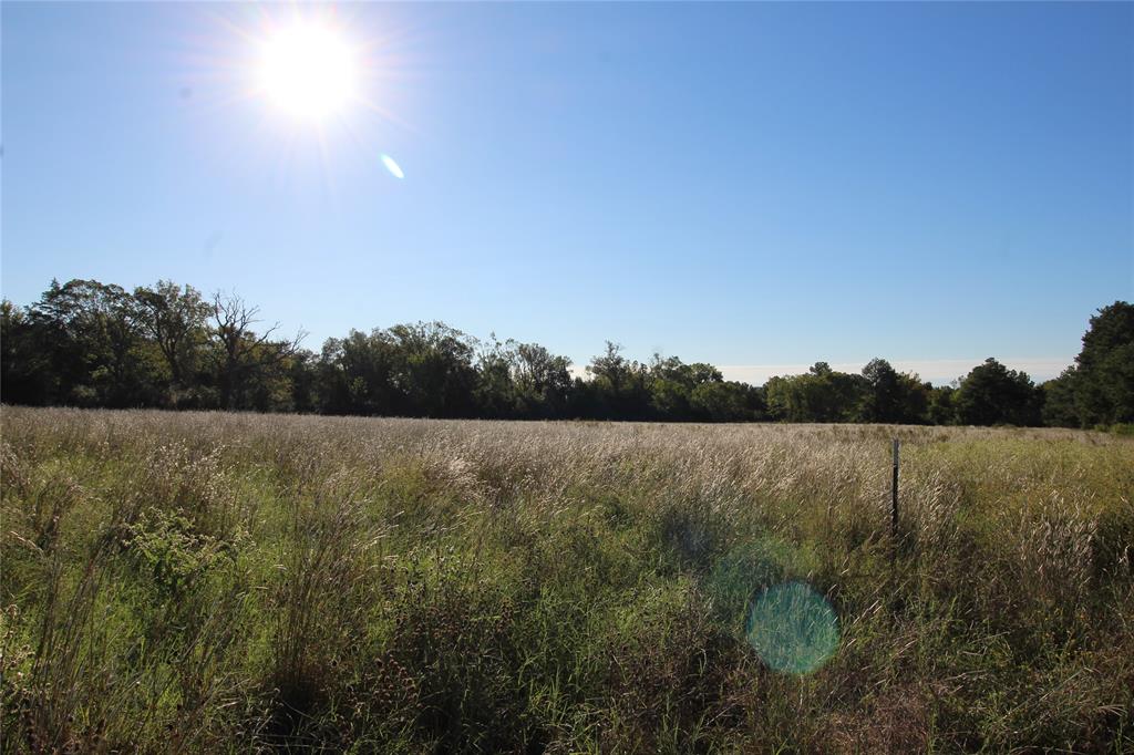 TBD Lot 10 and 11 Fm 645, Tennessee Colony, TX 