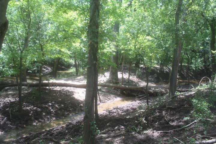 0001 County Rd 159  , Hungerford, Texas image 6