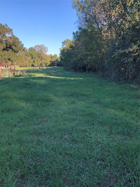 Looking for a secluded wooded tract of land to develop or build your custom home on? Located approx. 8 miles north of Dayton on the east side of F.M. Hwy 321, this surveyed 46.7019 acre tract is ready for you. Being unrestricted, a buyer could subdivide this land for a new residential subdivision, or build multiple homes for a private family complex, develop it into an RV park or campsite, use for recreational purposes such as hunting, camping, riding UTV/ATV'S on, etc...  Call to inquire about this property.