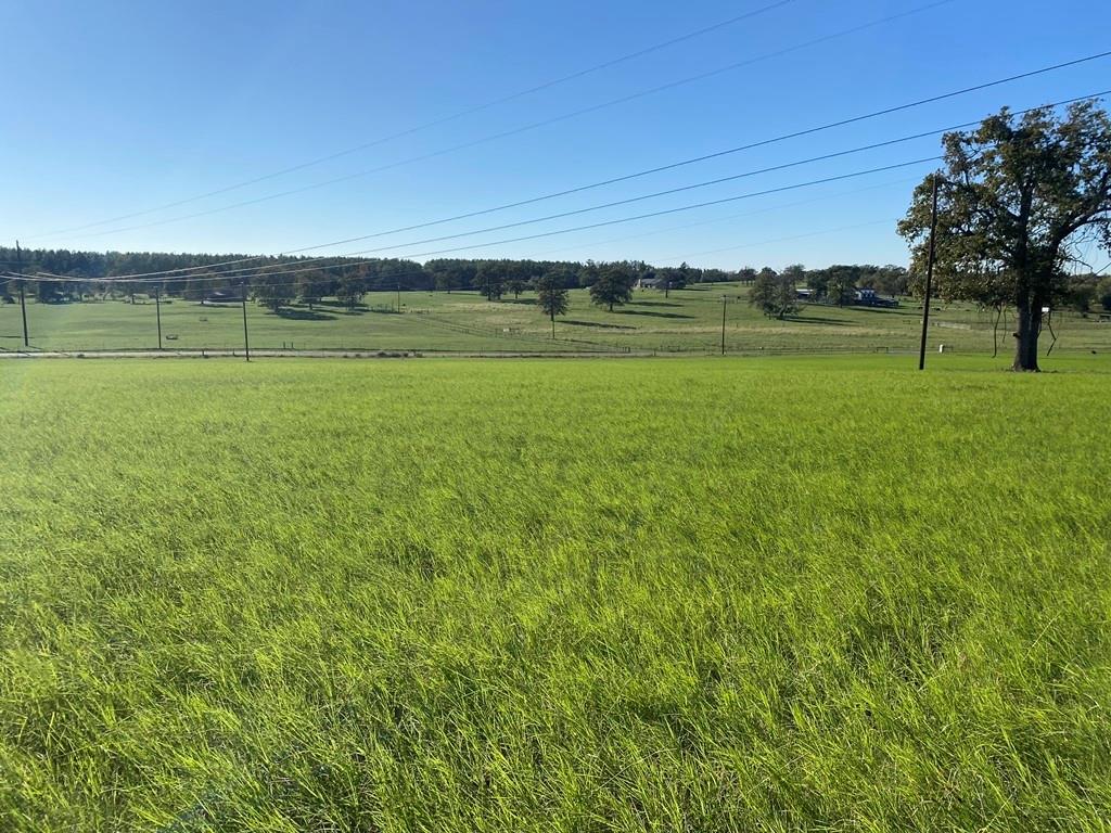 6394 W County Road 315  , Buffalo, Texas image 11