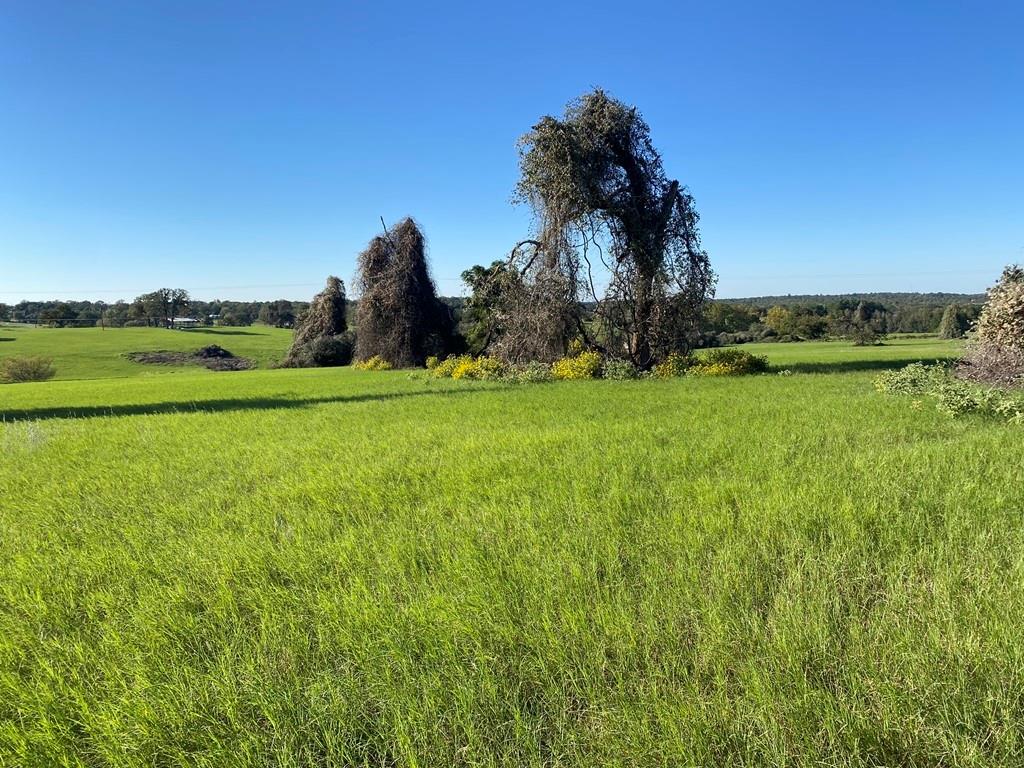 6394 W County Road 315  , Buffalo, Texas image 15