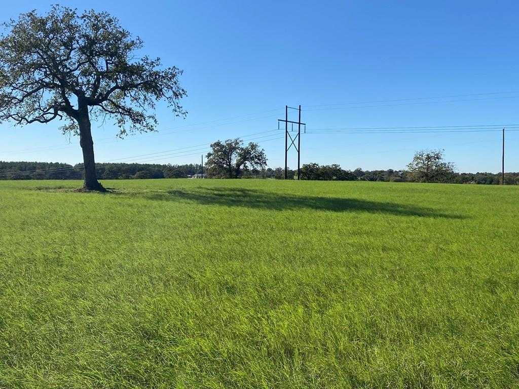 6394 W County Road 315  , Buffalo, Texas image 8