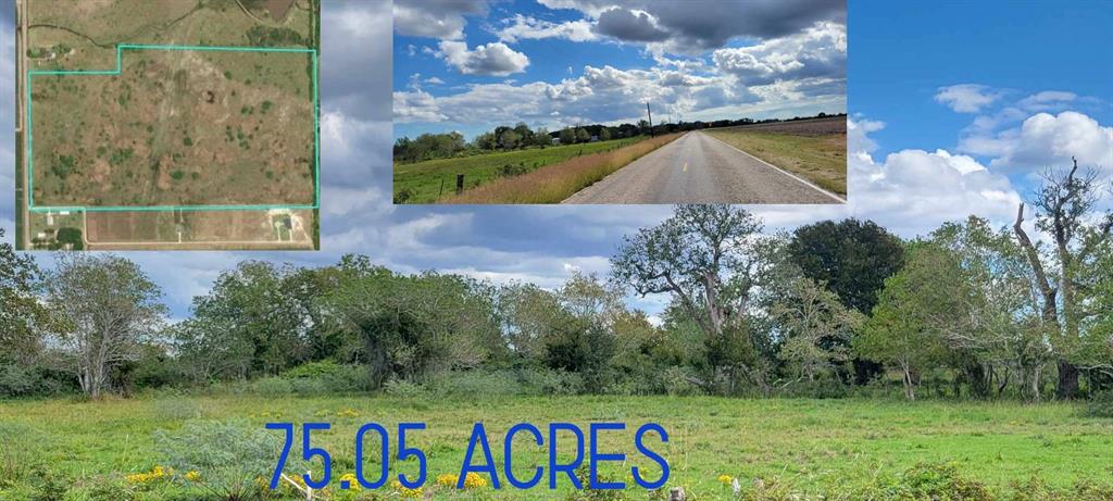 75.05 acres of Beautiful ranch land ready for your dreams of building, ranching or whatever your heart desires. Property has excellent asphalt maintained road frontage on FM 458. Currently being used for cattle, however there are no restrictions to what you want to do. If you decide to continue land lease with current cattle tenant they have 3 yrs with great income on the lease coming in or if you want to develop a clause to move off in 30 days.  Rv park ideal for all the coming work ahead in the county & location is within 5 minutes to Hwy 71 for a fast track to Houston, Tidhaven or Palacios & Blessing area. Excellent neighbors  location!