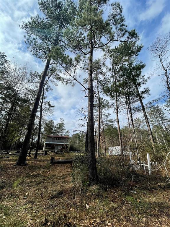 7915 Cherry Tree Lane , Plantersville, Texas image 7