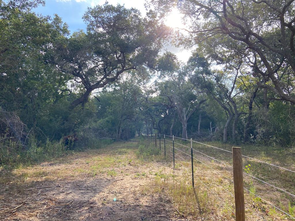Approximately 23 acres to enjoy peace and tranquility with mature live oaks, a live creek, a wildlife haven, wooded and private.  Situated on a paved, county road between Altair and Garwood and located in Rice Consolidated ISD.  Electric is located across the road and San Bernard Electric Co-op will extend to this property at buyer's expense, the location is to be determined between the buyer and Co-op.  Ideal home sites or recreational use with current wildlife exemption, buyer to verify wildlife use with appraisal district (possibly bee hives). Easy commute into west Houston and enjoy local commerce and nearby medical facilities in Columbus or El Campo. Minimal restrictions. Additional acreage for sale, up to 55.867 acres. OWNER: Loose Cow LLC, Roger Chambers and Don Holtkamp, brokers.