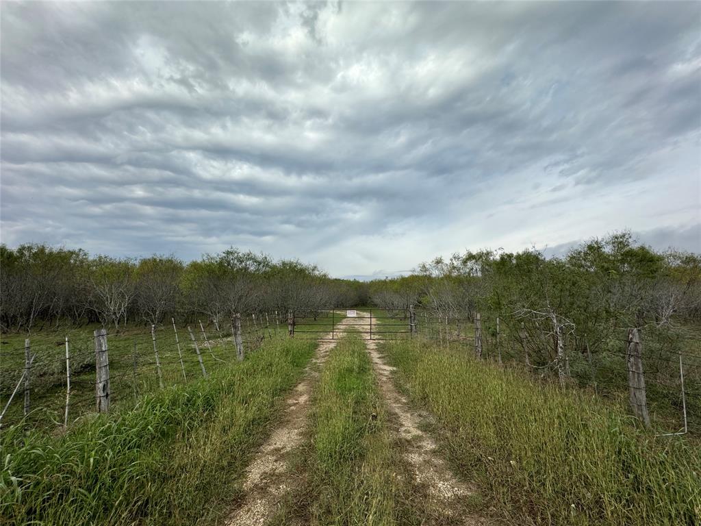 50 beautiful acres nestled at one of the highest points between San Antonio and Houston!  This is country living at its finest.  There is road access from FM 1117 and approximately 781 feet of frontage along FM 1117 per a 2023 survey that can be used by the Buyer.  This would be an excellent spot to build your dream home or possibly even subdivide into smaller lots.  There is a small pond on site as well!  Come check this one out today!