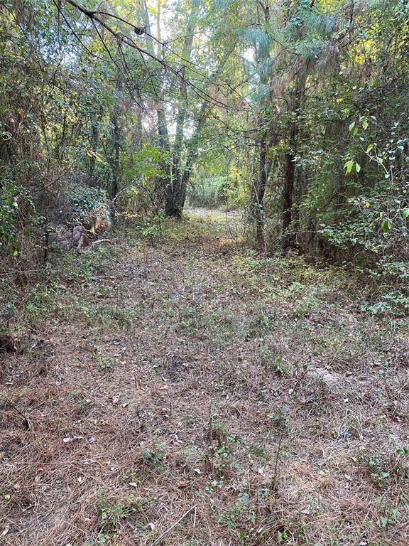 Beautiful 14 acre property in newly developing community. Build your dream home or a cabin to escape to. Property has electric access but will need a well and septic. Owners have cleared a drive. Lot comes with a timber exemption and is perfectly laid out with several spots suitable to build.