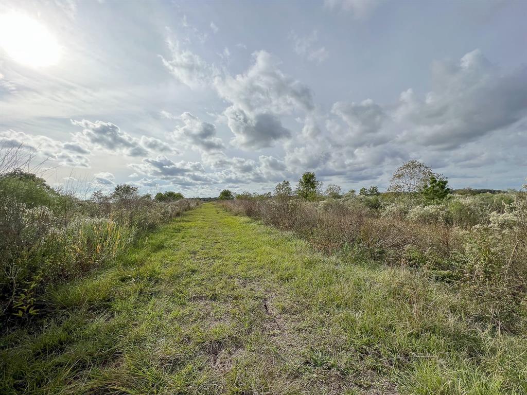 If you are looking for a hunters paradise or land to build a homestead/hobby farm on, then you will not want to miss out on this gorgeous, unrestricted property in the beautiful farming community of Winnie/Stowell. Located only 12 miles north of the Gulf Coast and in the East Chambers school district. Set your appointment to come check out this 9 acre tract that is accessed by a deeded easement directly from Hwy 124. The land is mostly level and has semi-mature trees scattered throughout. This property is ideal for a homestead, weekend getaway full of stargazing, fishing, trapping, hunting or a hobby farm, making this property full of endless possibilities. Walk the property with extreme caution, there could be hogs and other wildlife on the premises.