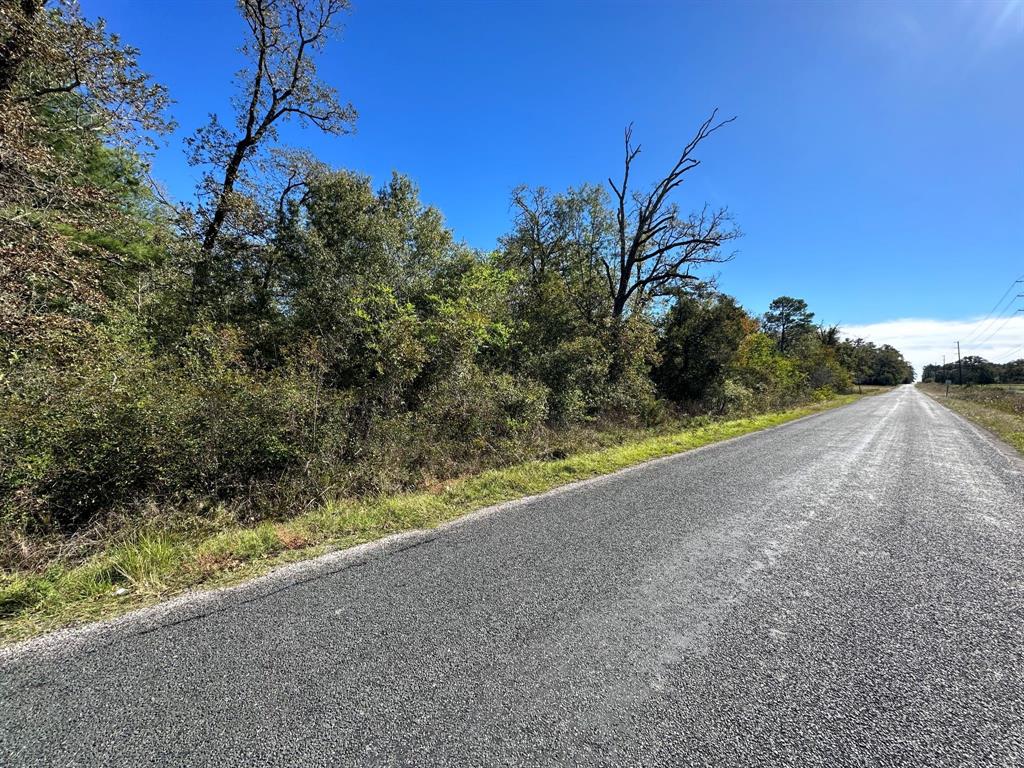 UNRESTRICTED 20.15 acres just outside of the Trinity City Limits. Wooded with a mix of pines and hard woods, approximately 285 feet of road frontage, come see it before its gone..
