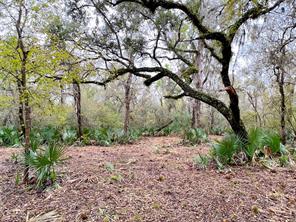 4227 County Road 347, Brazoria, TX, 77422