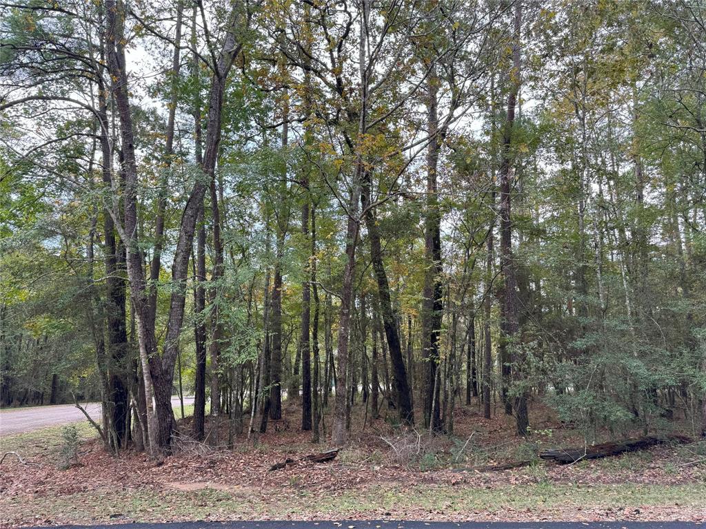 This 7562 sf lot is ready for you to start planning your home