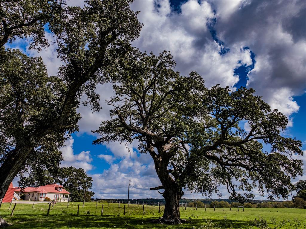 2610 Fm 609  , La Grange, Texas image 8