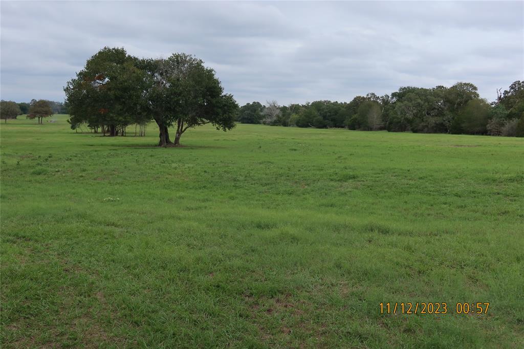 0000 Highway 71 Highway N, Columbus, Texas image 8