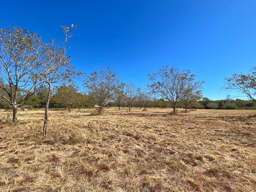 4882 Cr 319  , Centerville, Texas image 12