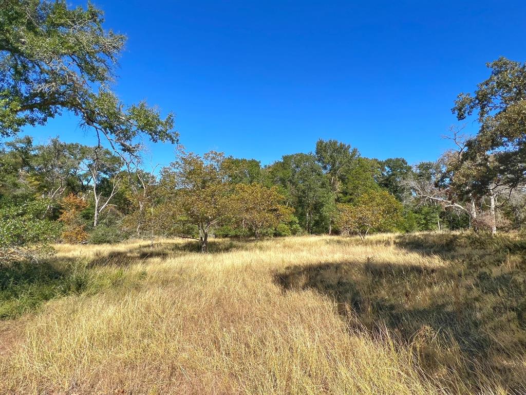 4882 Cr 319  , Centerville, Texas image 34