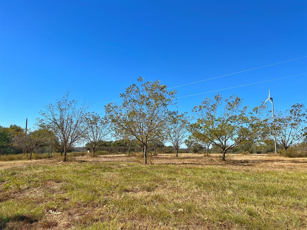 4882 Cr 319  , Centerville, Texas image 7