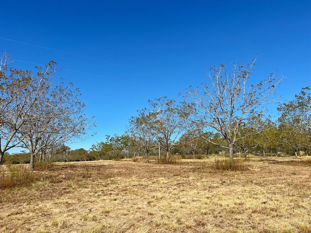 4882 Cr 319  , Centerville, Texas image 8