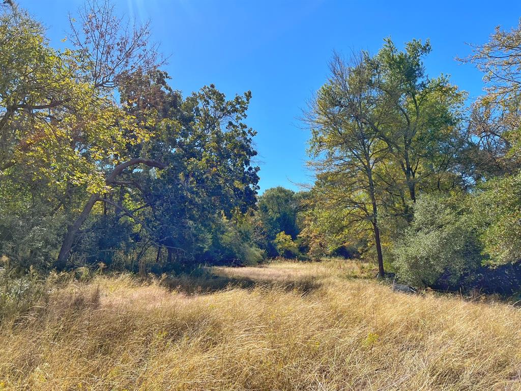 4882 Cr 319  , Centerville, Texas image 9