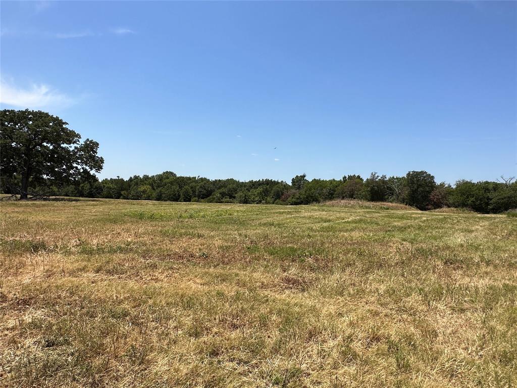 197 Fcr 601  , Fairfield, Texas image 6