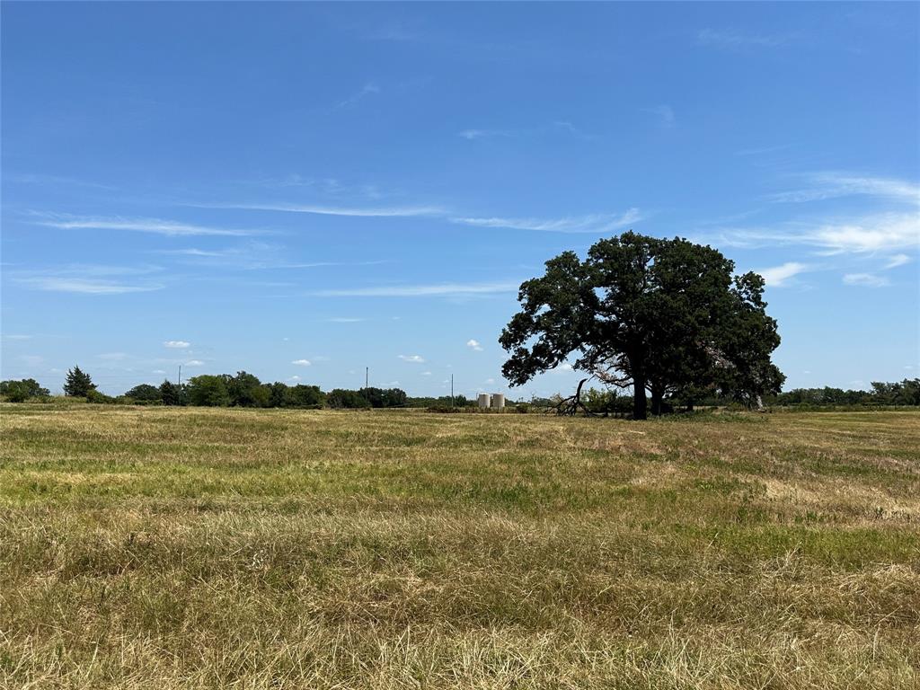 197 Fcr 601  , Fairfield, Texas image 8