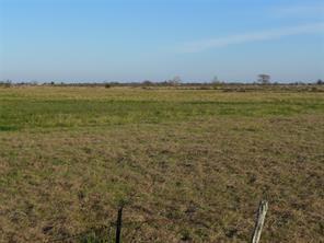 EXCELLENT OPPORTUNITY TO PURCHASE A 22 PLUS ACRE TRACT WITH ROAD FRONTAGE ON KOCUREK RD. READY FOR YOUR RANCH HOME WITH NO RESTRICTIONS.  THE LAND HAS SCATTERED TREES AND CURRENTLY AG EXEMPT. PER RECORDS--NO PIPE LINE, & NOT LOCATED IN A FLOOD ZONE.  ALL LOCATED IN THE NEEDVILLE SCHOOL DISTRICT. SELLER WILL PROVIDE NEW SURVEY.