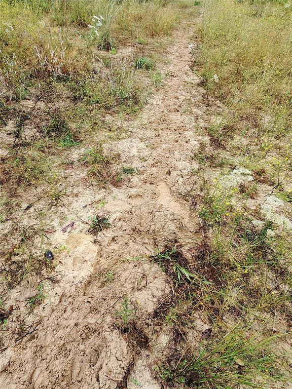 Lots of deer and hog tracks on the trails!