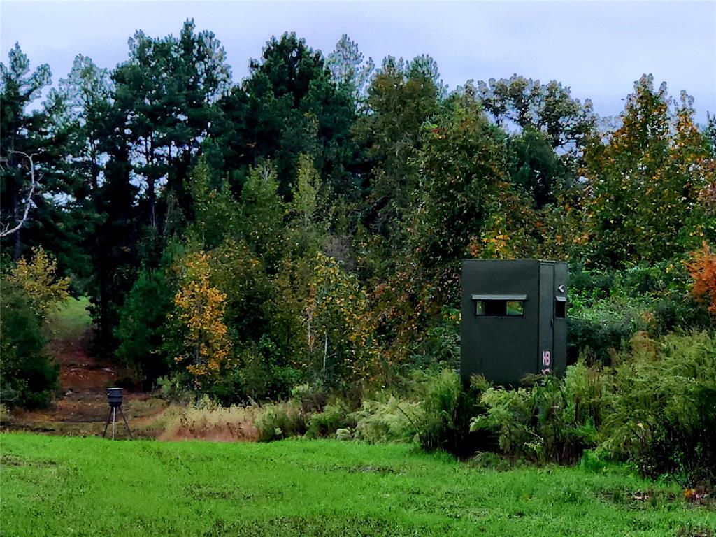 Great pasture clearing here, makes for a great deer stand location. Lots of long shot opportunities from this vantage point.